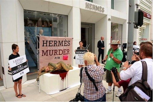 More Excuse For The Rich To Buy – Birkin Asks Hermes To Remove Name -  FinanceTwitter