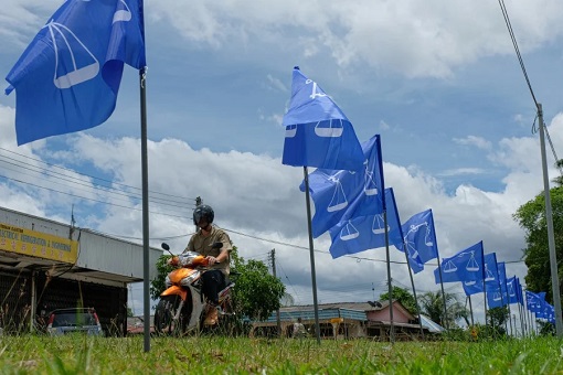 Barisan Nasional Flags