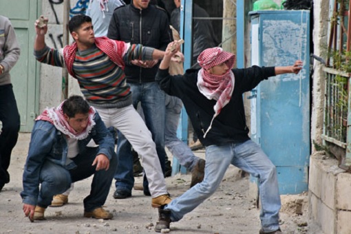 Palestinians Throw Stones